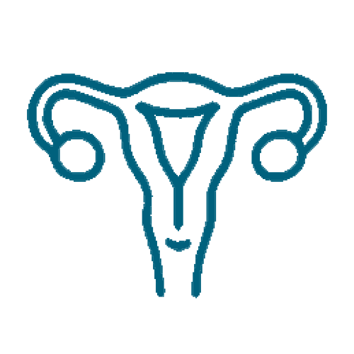 Գինեկոլոգիա